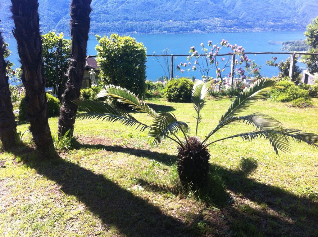Sonnenstrahl Lejlighed Locarno Eksteriør billede